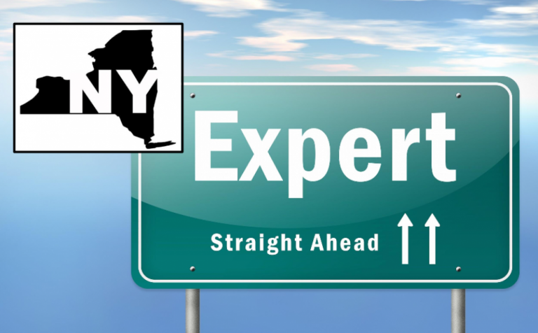 List of Faculty Experts Directories in New York State